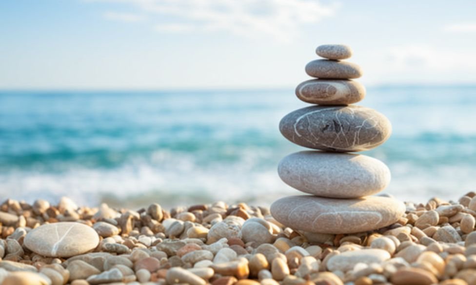 Wellness & Ayurveda